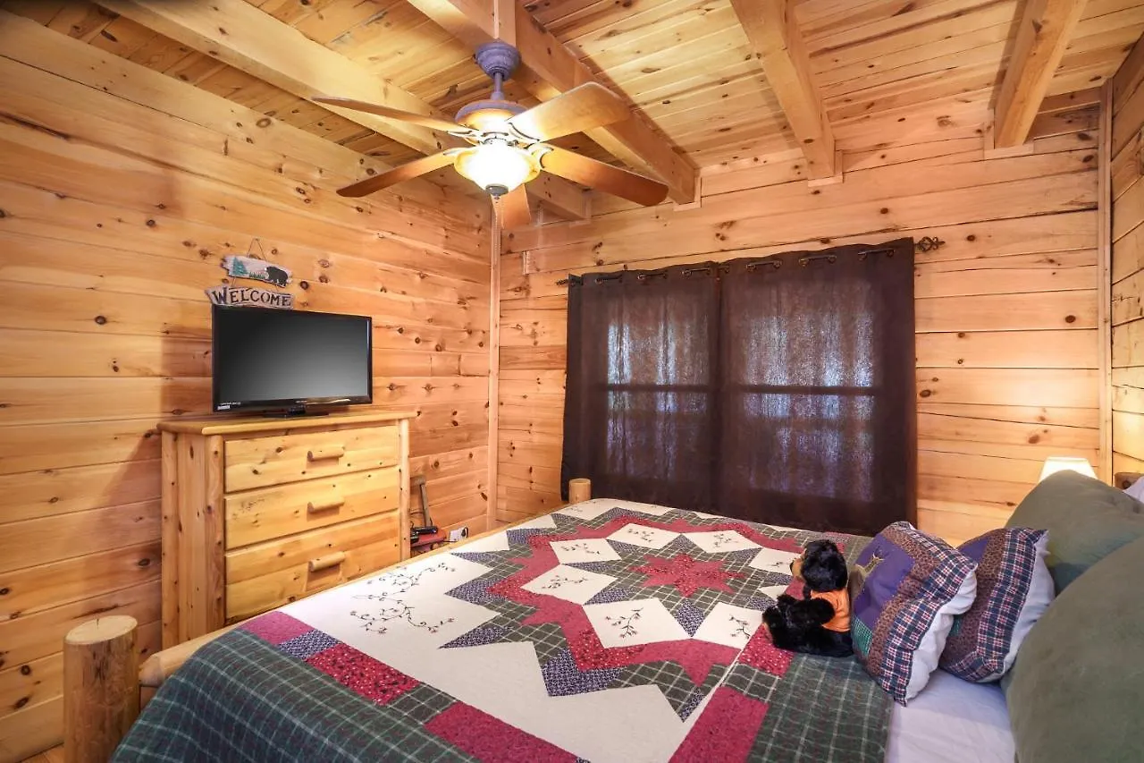 Glori's Retreat, Game Room, 1089 Of Free Attraction Tickets For Each Paid Day, Dollywood And 비둘기 포지