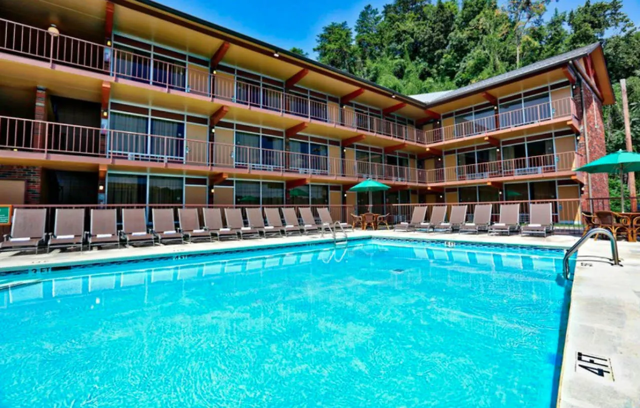 Motel Wild Bear Pigeon Forge