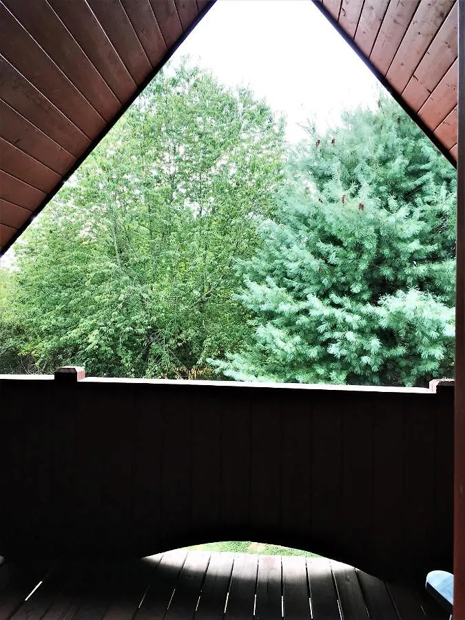 An Amazing Time Holiday home Pigeon Forge