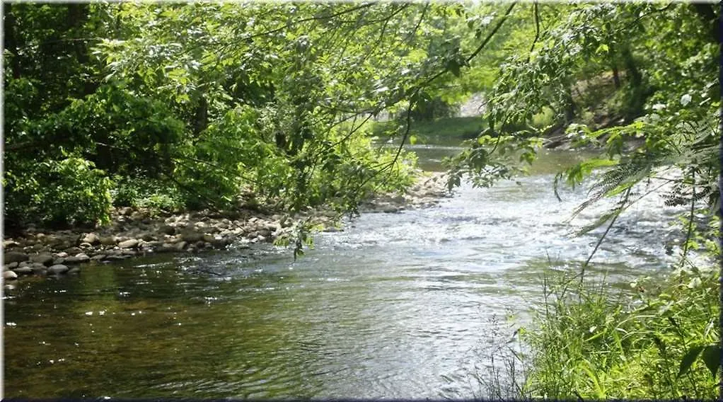 Hotel River Bend - 2*