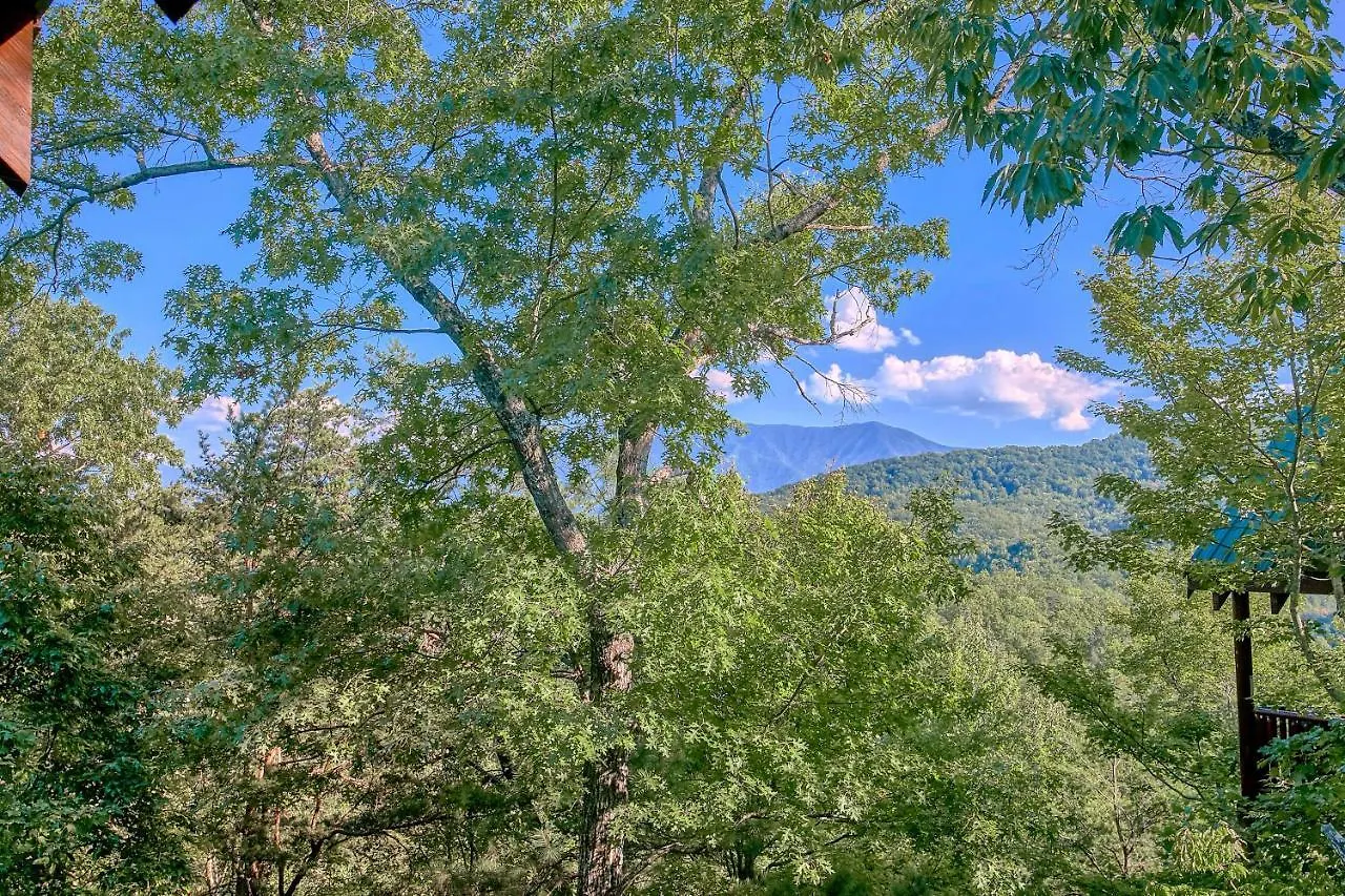 Treehouse Pigeon Forge