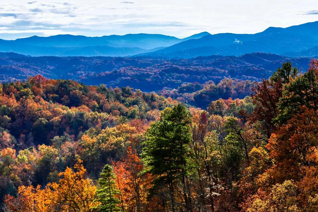 Holiday home Treehouse Pigeon Forge
