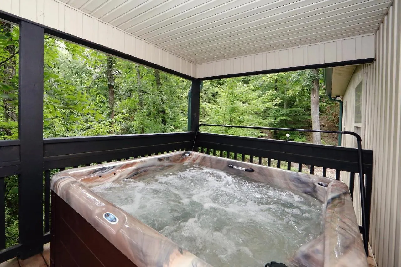 Cedar Falls #8 Chalet *