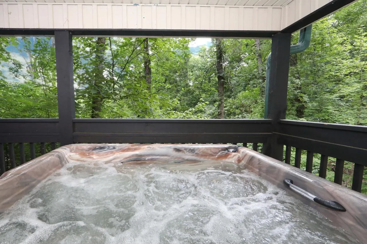 Chalet Cedar Falls #8